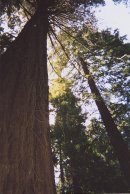 Robert Everman фотография #36 (источник - https://vk.com/id544712)