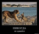 Ігор Багнюк фотография #24 (источник - https://vk.com/id29911631)