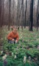 Женічка Жук фотография #16 (источник - https://vk.com/id65860511)