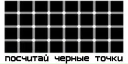 Дмитрий Рыбаков фотография #35 (источник - https://vk.com/id754629)