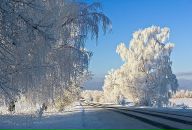 Фотография Ушаковой Ольги