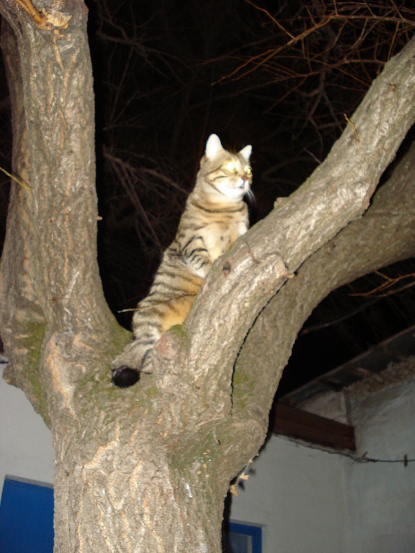 Ян Стулов фотография #37