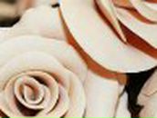 Елена Демиркан фотография #40 (источник - https://vk.com/id7295180)