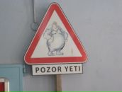 Фотография Образцова Татьяна