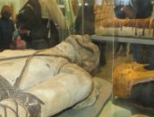 Михаил Плотников фотография #15 (источник - https://vk.com/id3545334)