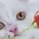 Пєтя Сверба фотография #43 (источник - https://vk.com/id19829246)