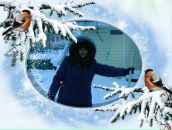 Фотография Каштанов Андрей