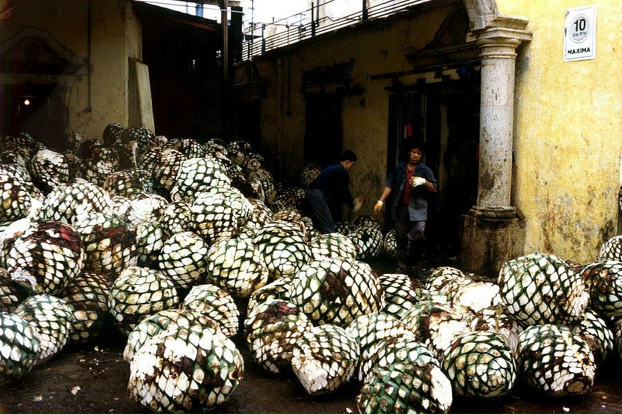 Джейн Эйр фото №15