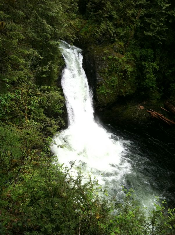 Федор Гончар фотография #32