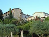 Dmitry Davidenko фотография #29 (источник - https://vk.com/id10142)