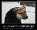 Елена Тарасенко фотография #24 (источник - https://vk.com/id76217138)