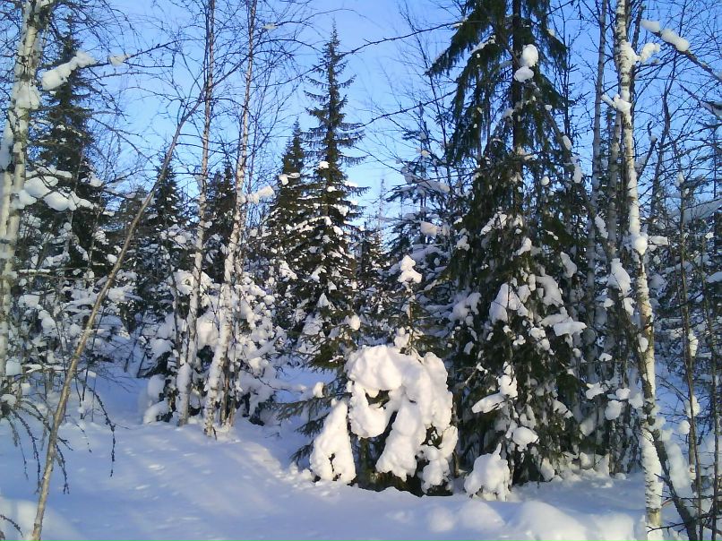 Дмитрий Иванов фотография #25