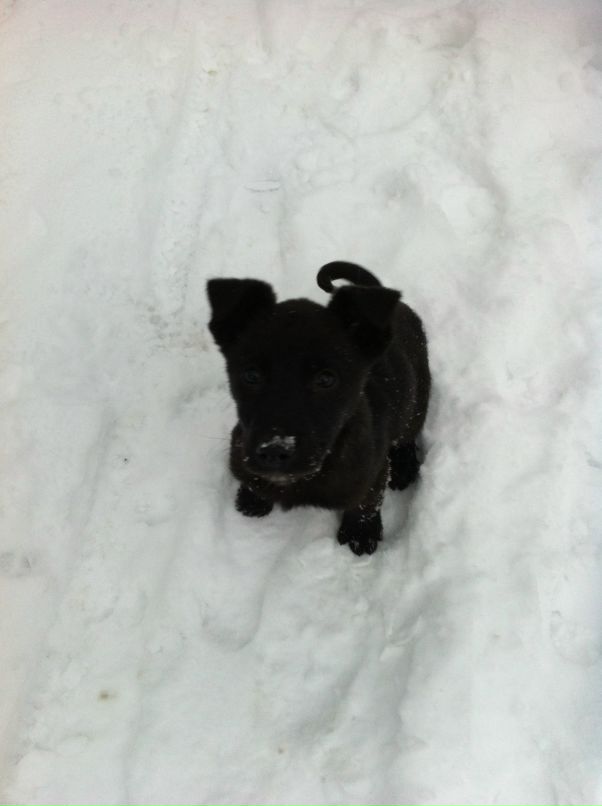 Иван Иванов фотография #21