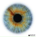 Наталія Гритчак фотография #47 (источник - https://vk.com/id47452160)