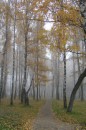 Александр Дорофеев фотография #33 (источник - https://vk.com/id75198683)