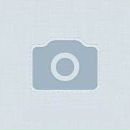 Фотография Горскова Дарья