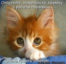 Толік Арендарчук фотография #29 (источник - https://vk.com/id157324326)