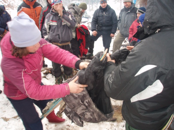 Александр Синицын фото №23