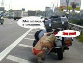 Фотография Пелехова Егора