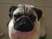 Фотография Остапенко Юлии