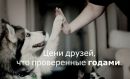 Віктор Олегович фотография #21 (источник - https://vk.com/id39630096)