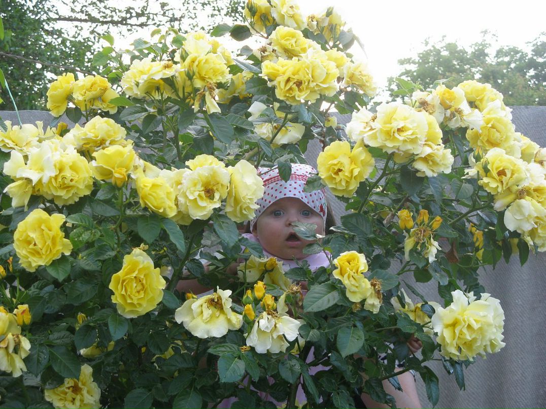 Владимир Левшевич фотография #8