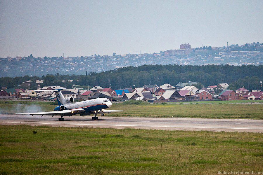 Кот Бегемот фотография #46