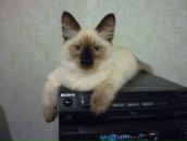 Фотография Устиновой Светланы