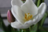 Фотография Клюевой Екатерины