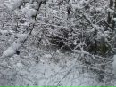 Вячеслав Кріт фотография #49 (источник - https://vk.com/id163187449)