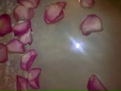 Фотография Тель Альки