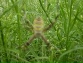 Іра Левчук фотография #34 (источник - https://vk.com/id48205986)