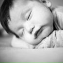 Фотография Швецов Роман