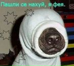 Фотография Козловой Наталии