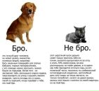 Дмитрий Макаров фотография #26 (источник - https://vk.com/id2691551)