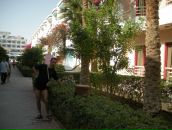 Андрій Ольховский фотография #9 (источник - https://vk.com/id38332321)