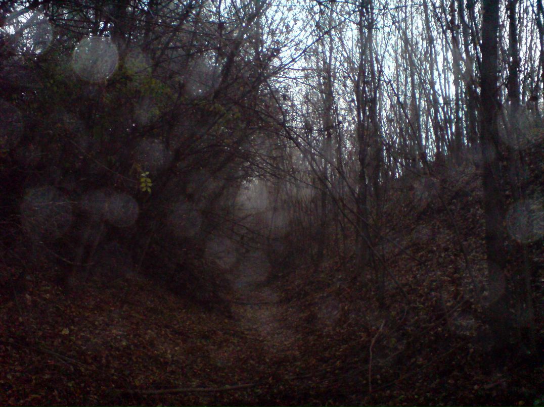 Павел Пашенко фотография #13