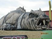 Фотография  