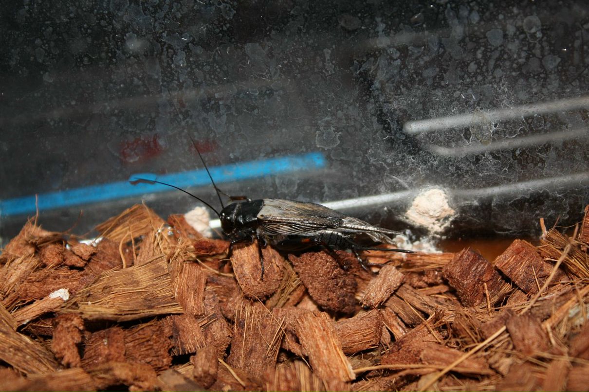 Дмитрий Борисенко фотография #26