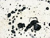 Фотография Чупраковой Ольги