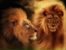 Віталя Середюк фотография #7 (источник - https://vk.com/id104391813)