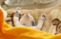 Віктор Штимер фотография #15 (источник - https://vk.com/id37651091)