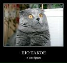 Ігор Кіяніченко фотография #9 (источник - https://vk.com/id59969313)