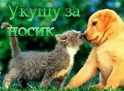 Лілія Кирик фотография #48 (источник - https://vk.com/id101159344)