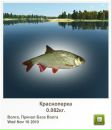 Вова Жовнір фотография #11 (источник - https://vk.com/id72387277)