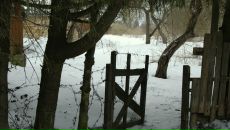 Фотография Гаас Вероники