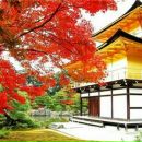 Уля Печеніщук фотография #24 (источник - https://vk.com/id95752069)