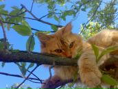 Фотография Пересторонина Александра