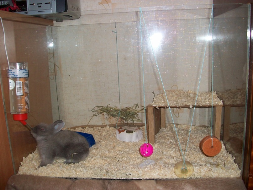 Елена Абрамова фотография #30