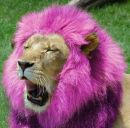 Фотография Хлебниковой Ольги